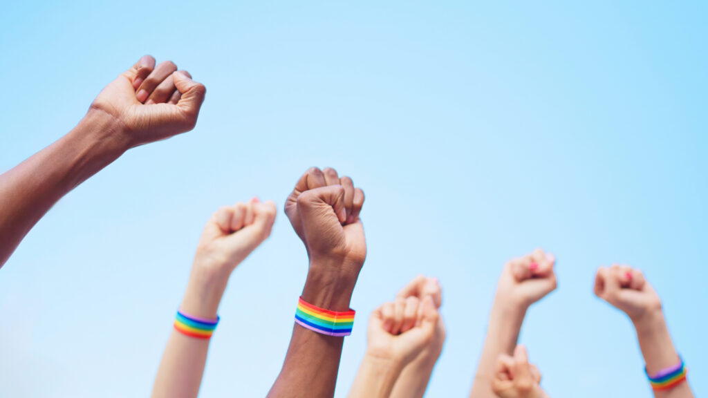 Casa Pride APS and its partner organisations
